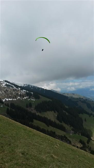 20140504-144650.jpg