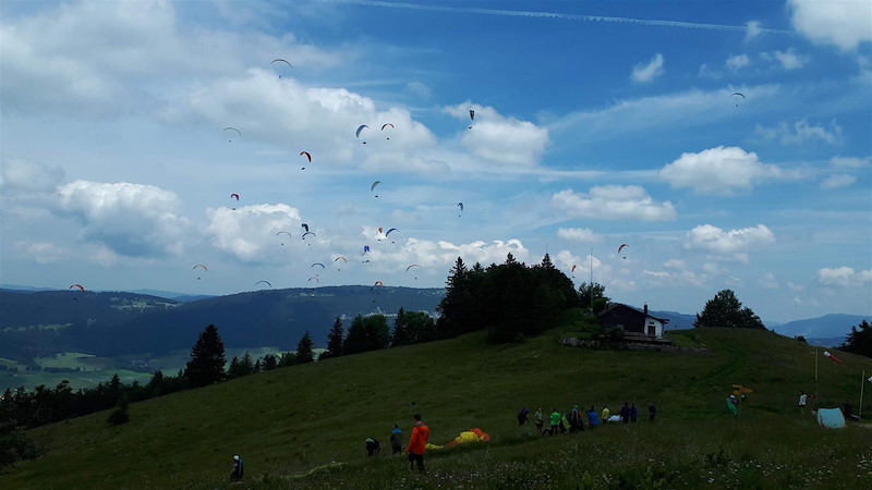 20180616-122132.jpg