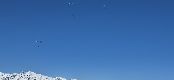 20250302_132852.jpg