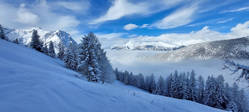 20260125_110745.jpg