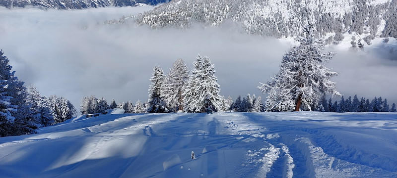 20260125_113405.jpg