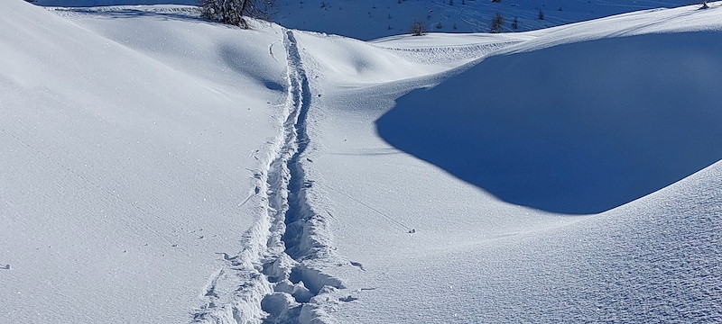 20260125_134606.jpg