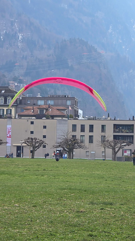 20260321_143937.jpg