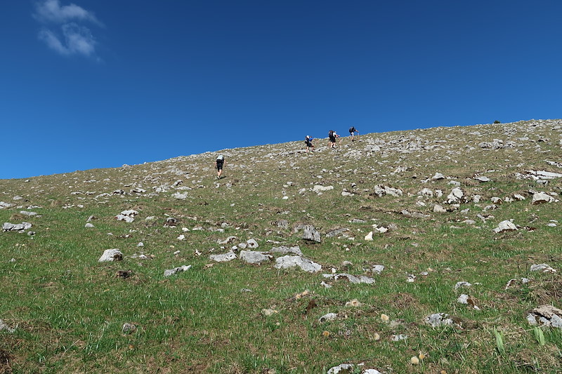 20260501_sm-jura_020.JPG