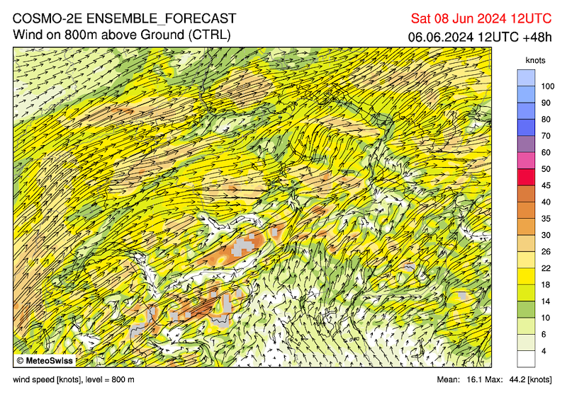 Cimetta_030 _c2e_ch_ctrl_uv800m_048.png