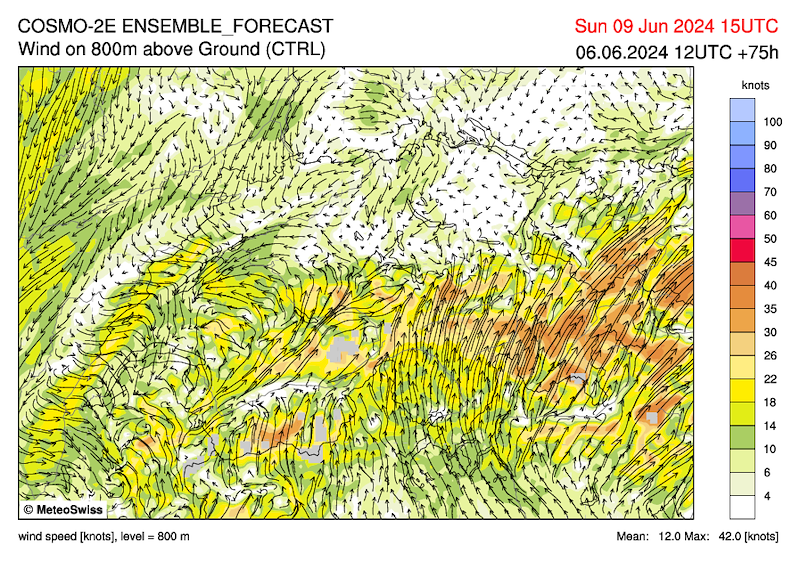 Cimetta_054 _c2e_ch_ctrl_uv800m_075.png