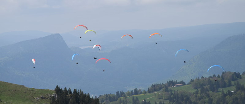 DSC_0268-1170x500.jpg