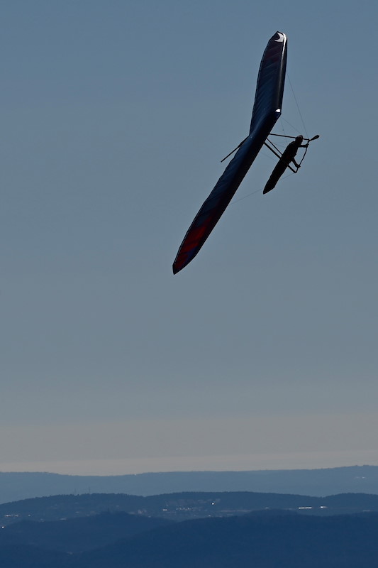 DSC_4884.jpeg