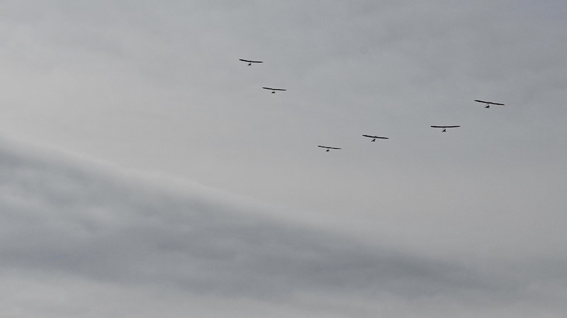 DSC_5338.jpeg