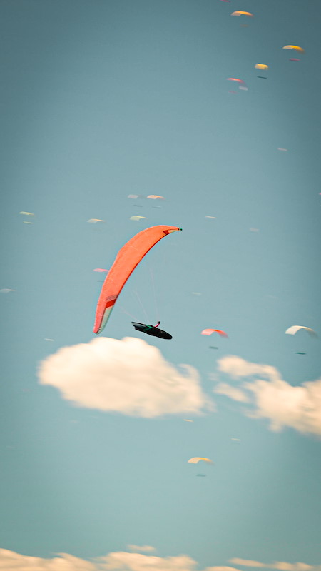 DSC_8307.jpeg