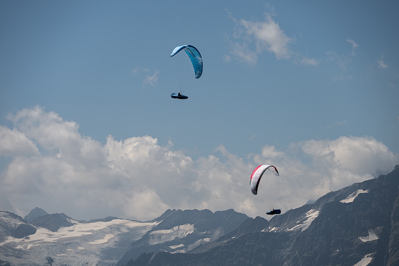 DSC_9169.jpg