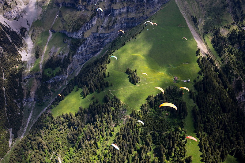 Grindelwald_MSGrindelwald_MS_06A0399.jpg