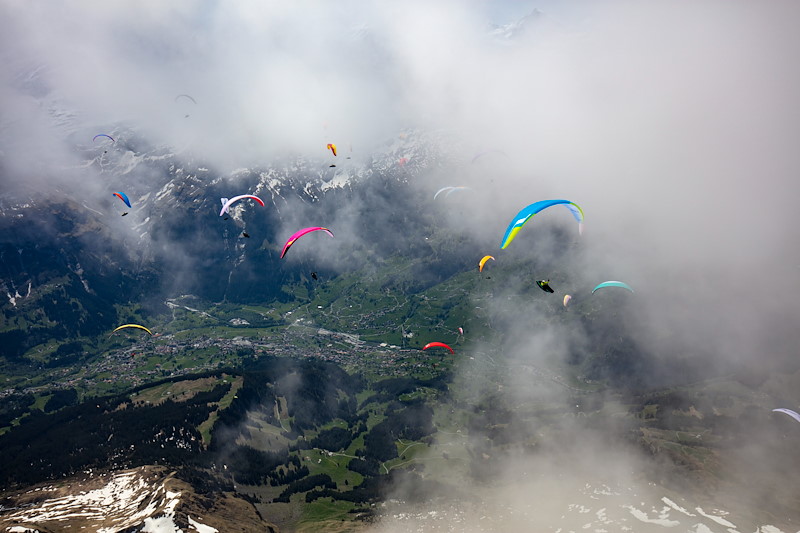 Grindelwald_MS_06A0191.jpg
