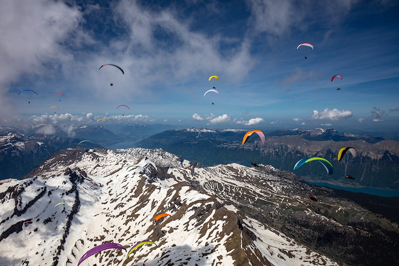 Grindelwald_MS_06A0213.jpg