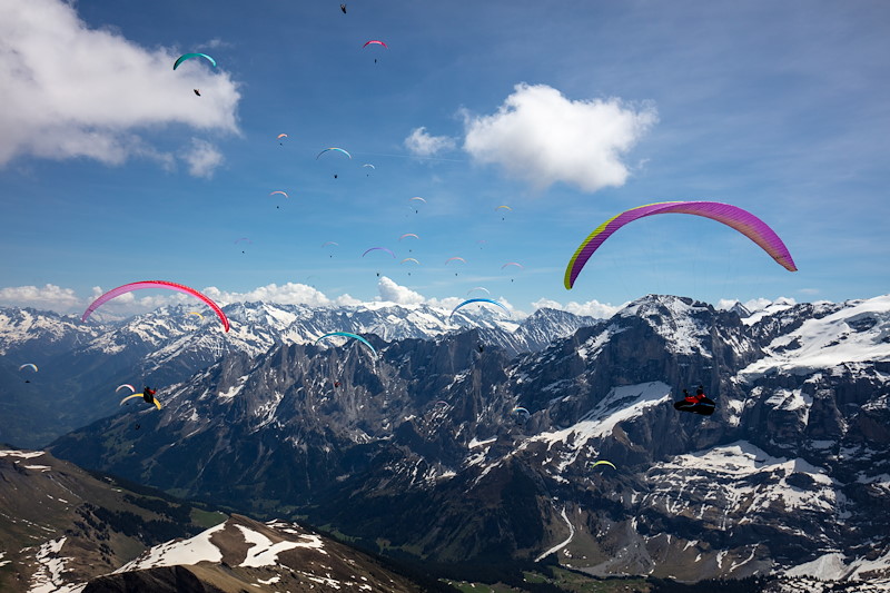 Grindelwald_MS_06A0224.jpg