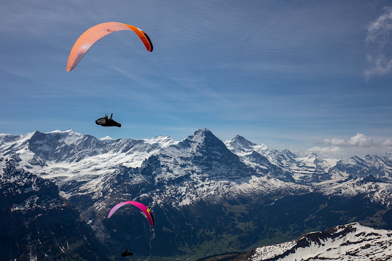 Grindelwald_MS_06A0234.jpg