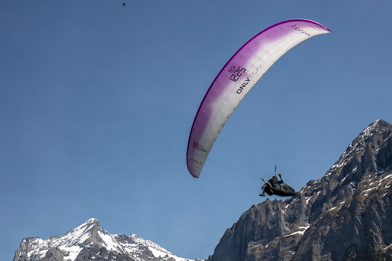 Grindelwald_MS_06A0320.jpg