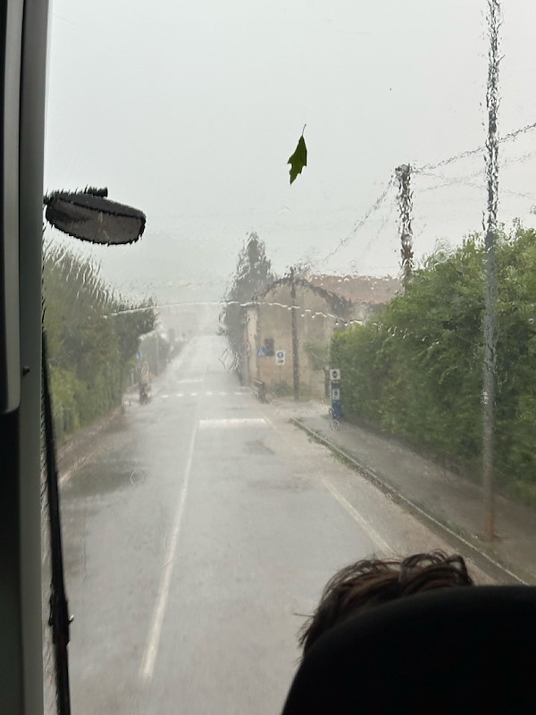 Gro- (IMG_1184).jpeg