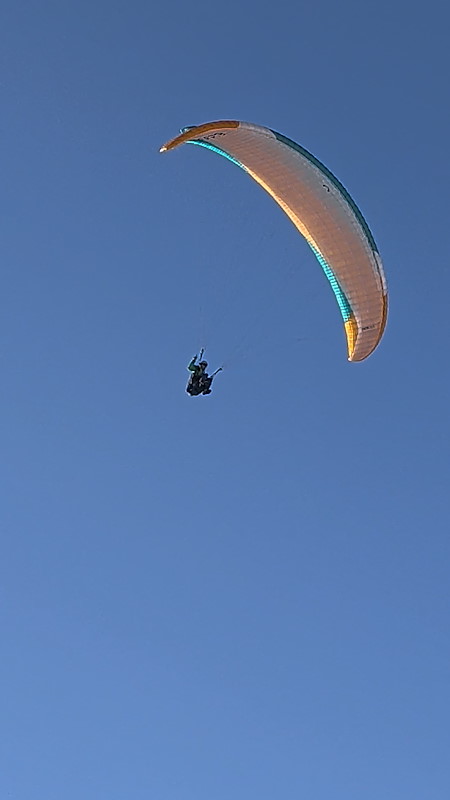 IMG-20260103-WA0013.jpg