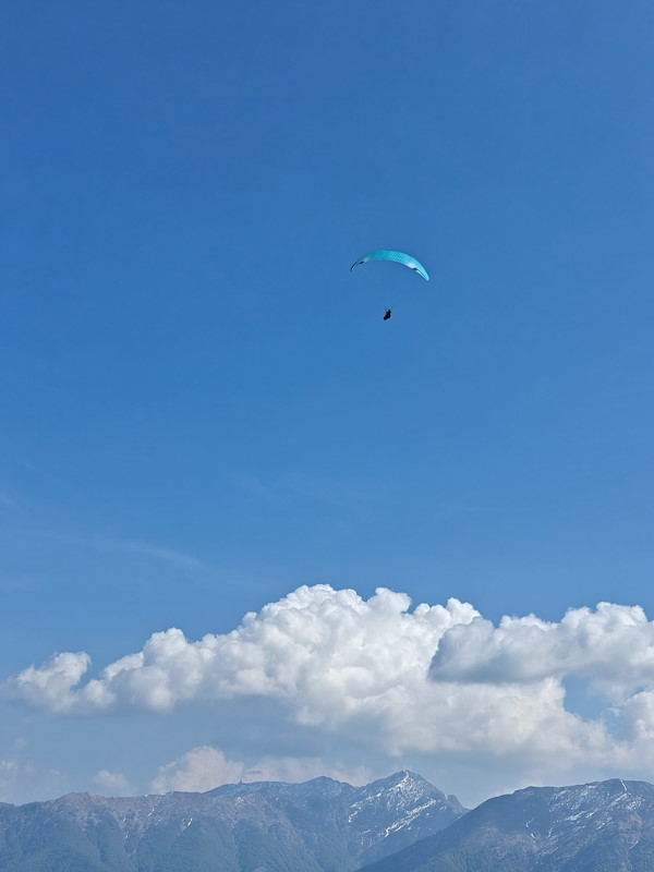 IMG20260418152629.jpg