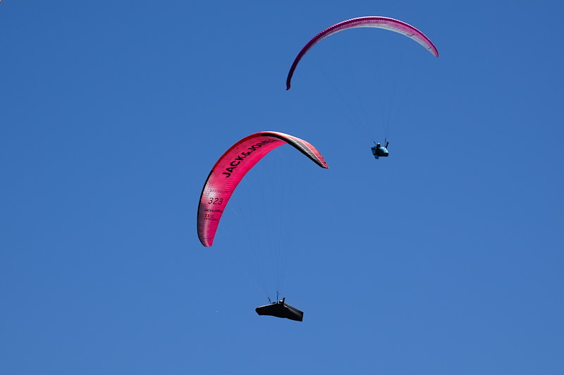IMG_1415.CR3.jpg