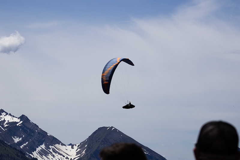 IMG_1646.jpg