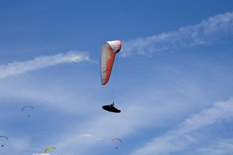 IMG_1658.jpg