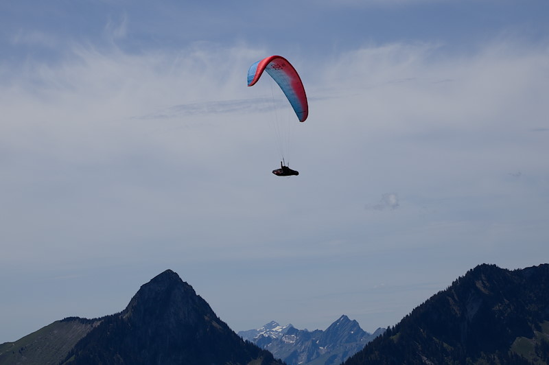 IMG_1671.jpg