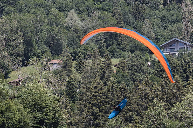 IMG_1853.jpg
