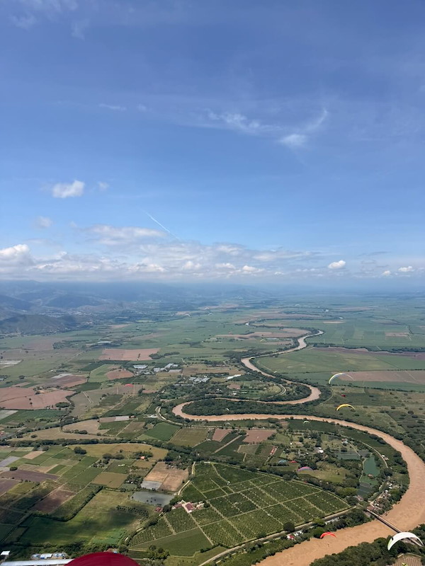 IMG_7137.jpeg