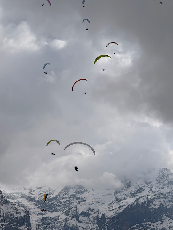IMG_7350.jpeg