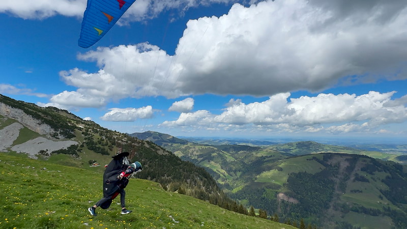 OGO Task 1 -M Scheel_7.jpg
