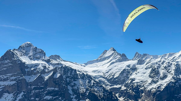 PWC GI 24 Task 4 -M Scheel_1.jpg