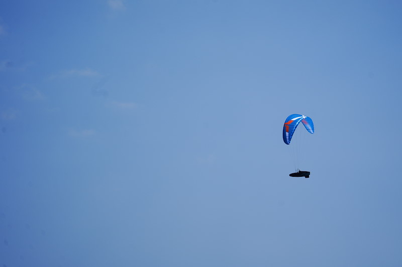 _DSC3533.jpeg