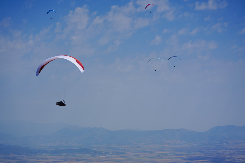 _DSC3547.jpeg