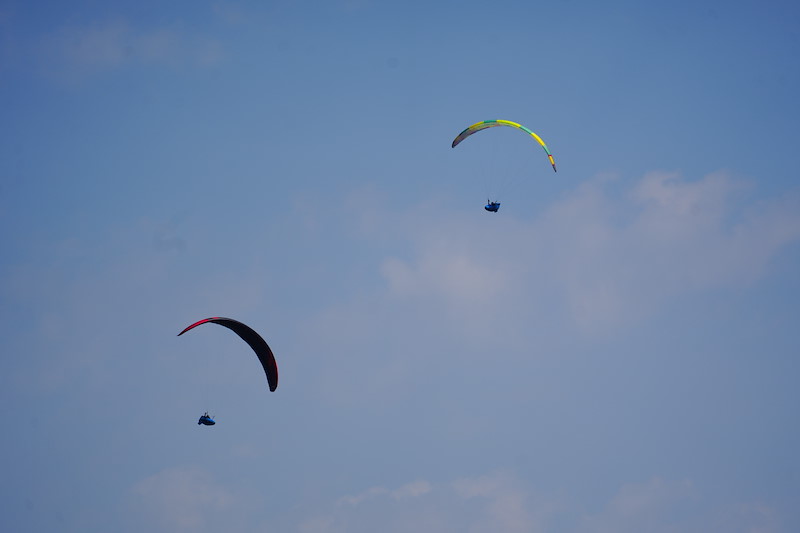 _DSC3562.jpeg