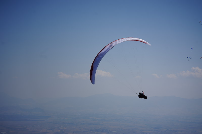 _DSC3617.jpeg