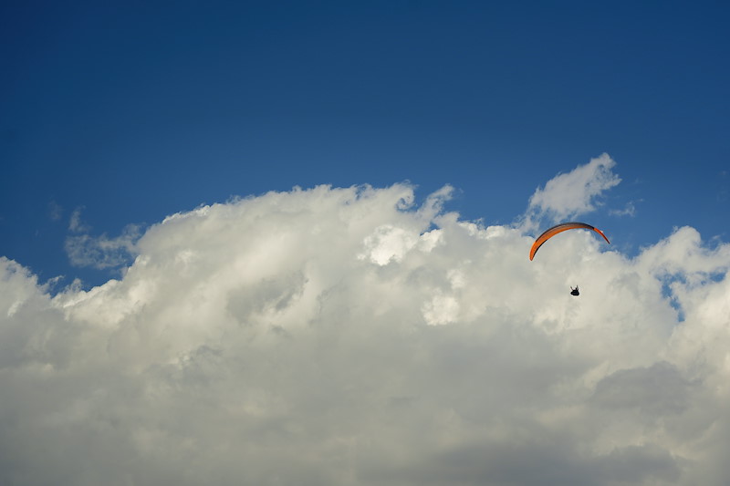 _DSC3659.jpeg