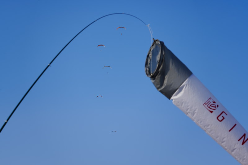 _DSC3741.jpeg