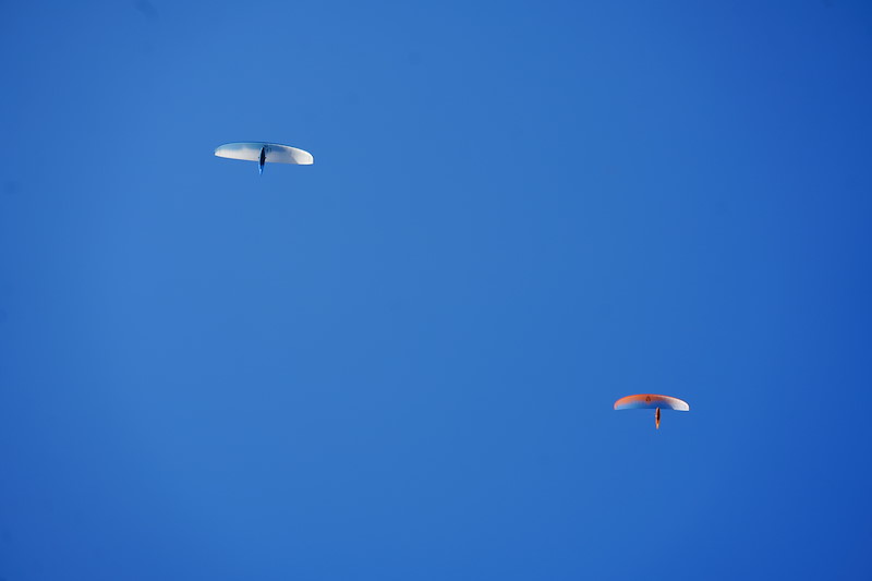 _DSC3742.jpeg