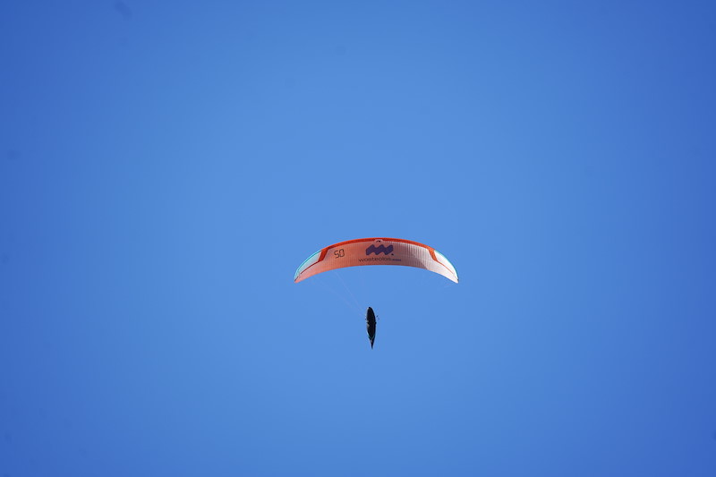 _DSC3744.jpeg