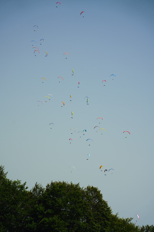 _DSC3789.jpeg