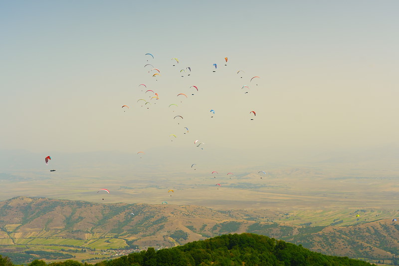 _DSC3818.jpeg