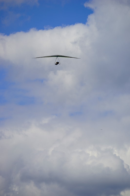_DSC7597.jpeg