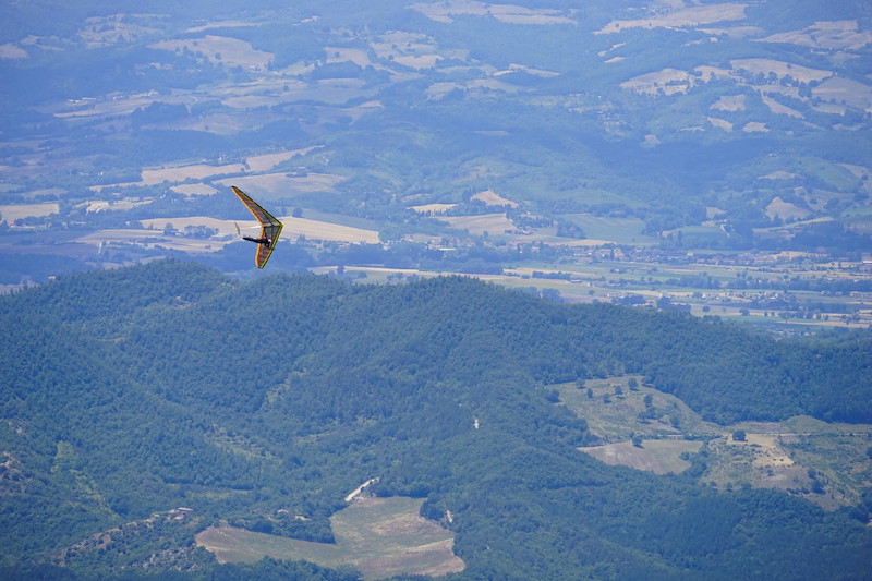 _DSC7783.jpeg