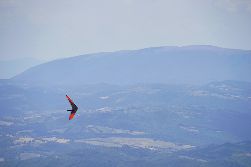 _DSC7785.jpeg