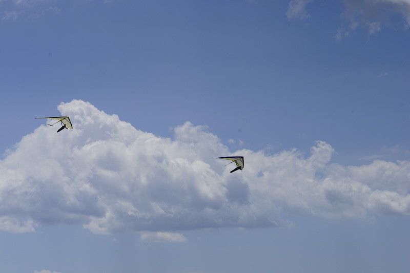_DSC7796.jpeg