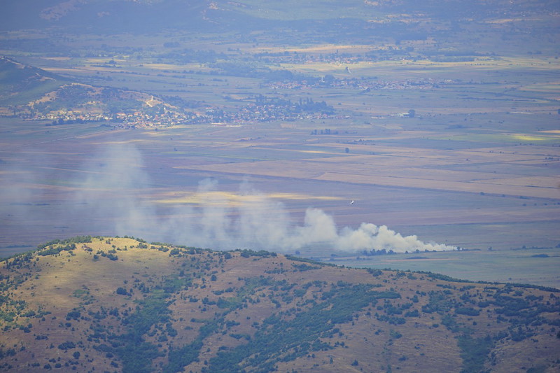 _DSC8974.jpeg