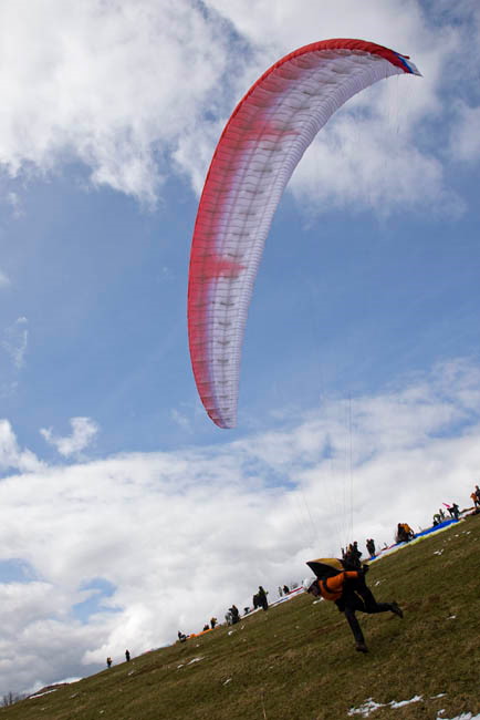 _MS_2190.jpg