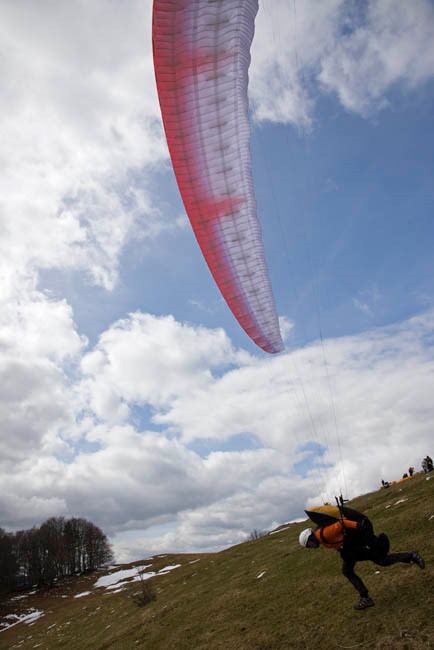 _MS_2194.jpg